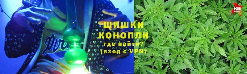 darknet телеграм  магазин  наркотиков  Задонск  Шишки марихуана White Widow 